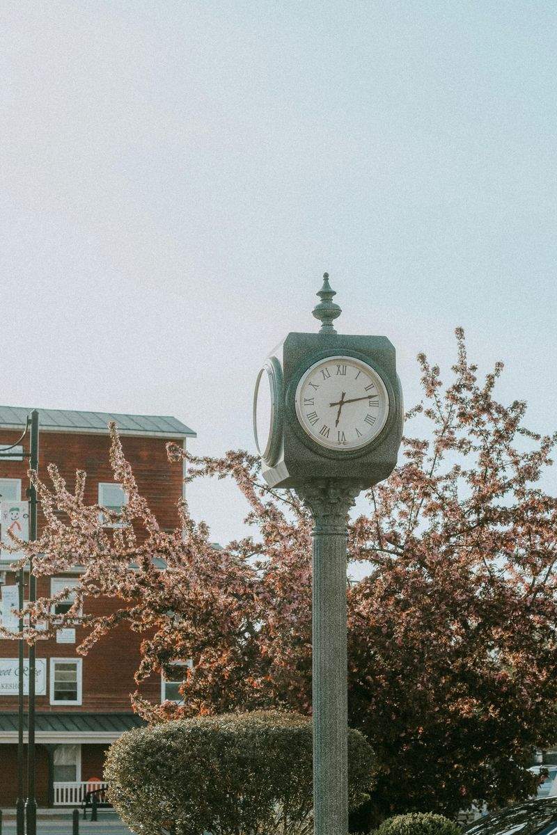 Die Magie der Sprache: Wie Sie Ihre Kommunikationsfähigkeiten verbessern